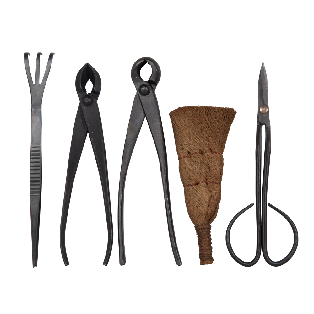 BONSAI 5PCE SET