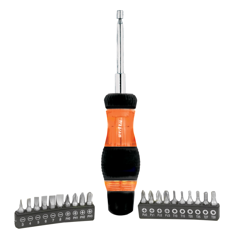 S/DRIVER BIT SET 22PC