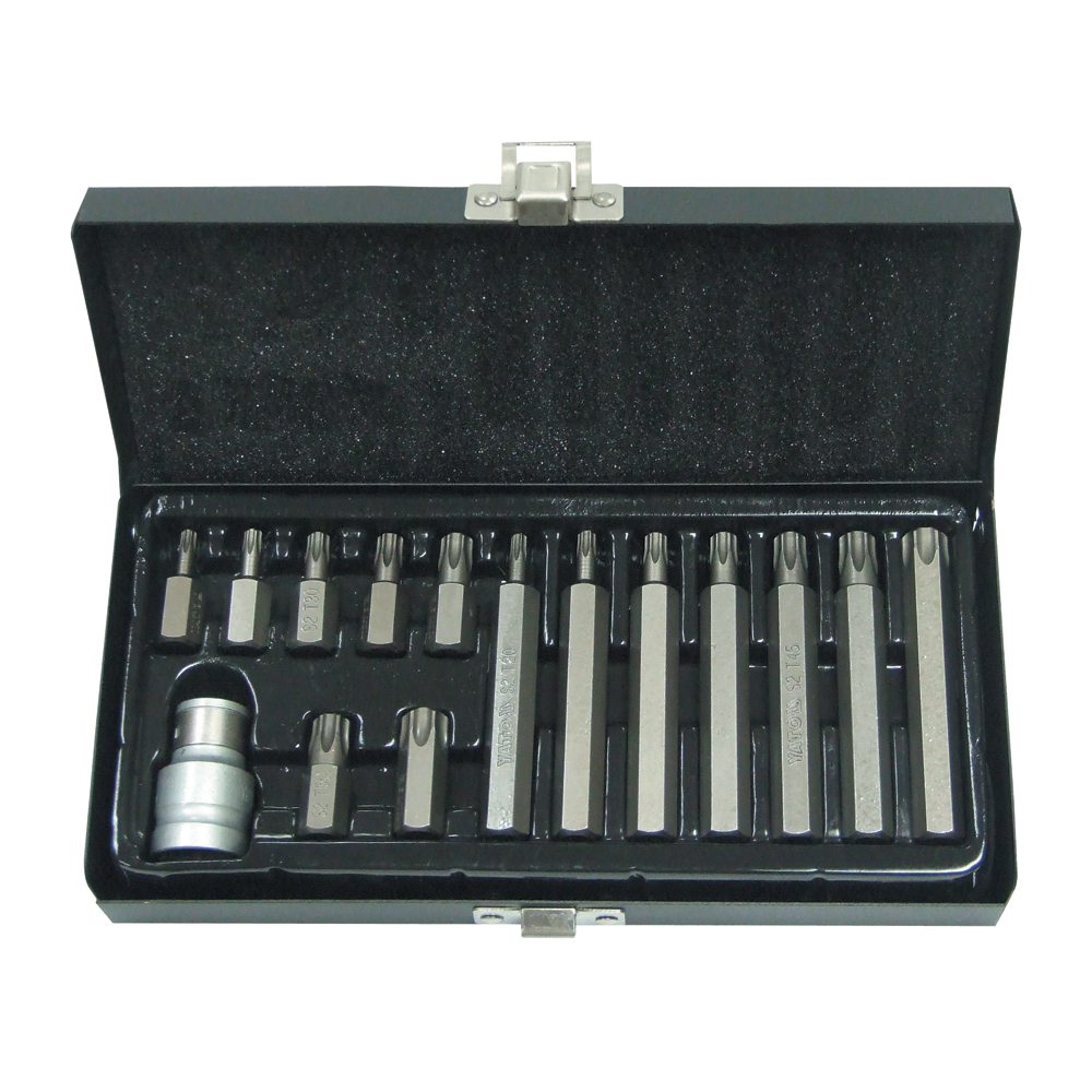 15 PC TORX BIT SET